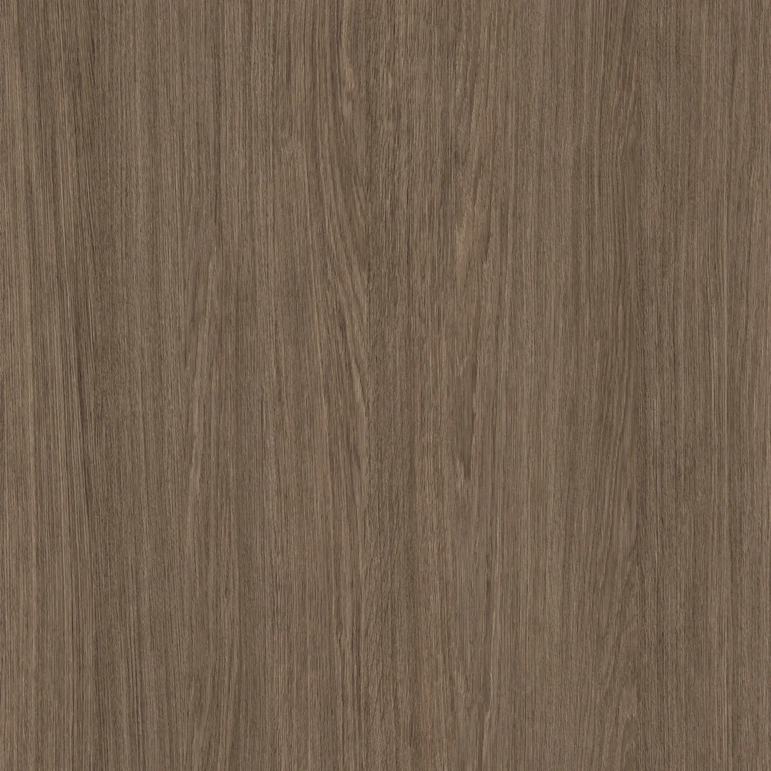 Umber Primavera Oak swatch