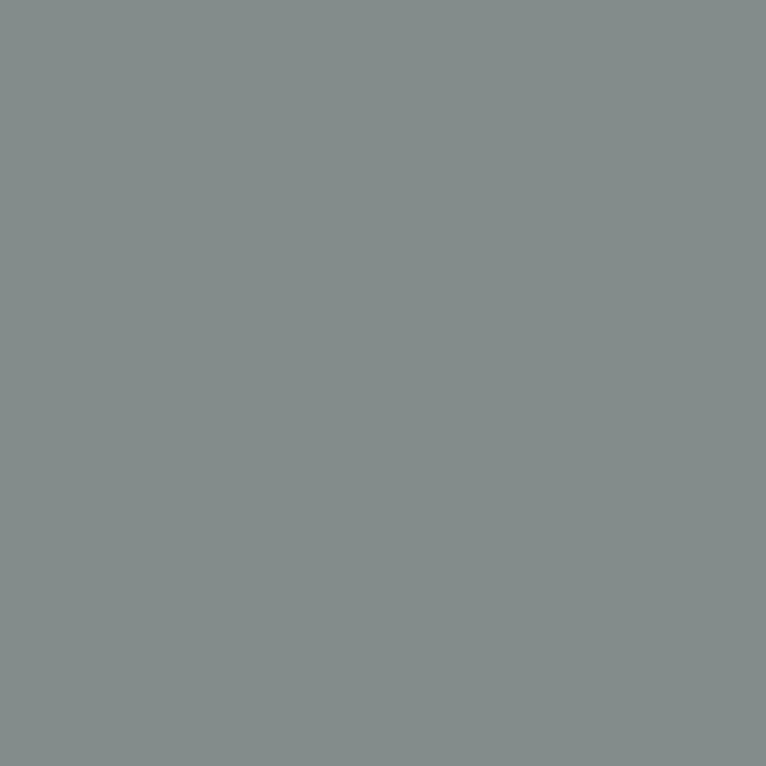 Premier Matt Monument Grey swatch